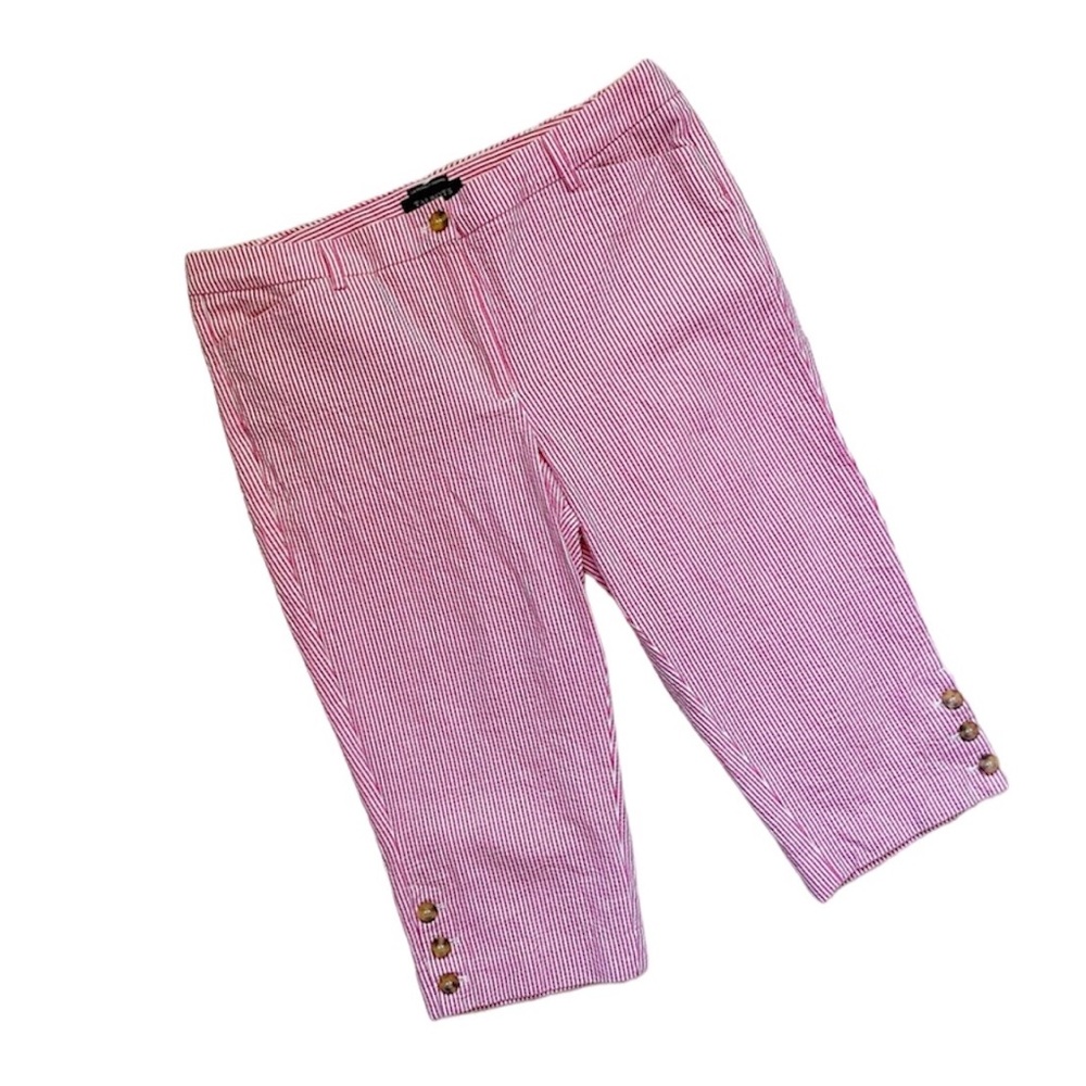 Talbots striped The Perfect Skimmer cropped pants